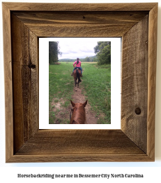 horseback riding near me in Bessemer City, North Carolina